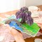 Mother’s Day Card Making Kit – Wisteria 3D Pop-Up Greeting Card for Mom, Wife, Daughter, Sister, Grandma, 6x8 in with Envelope & Message Note